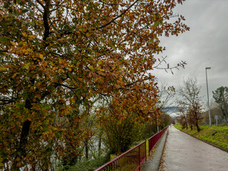 Autumnal Pathway by the River