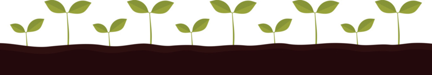 Green leaves of sprouts growing in soil on a transparent background. Vector illustration.