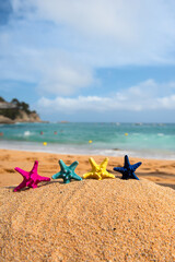 Fototapeta na wymiar Tropical starfishes at the beach