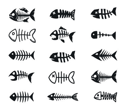 Set of different silhouettes of dead fish bones