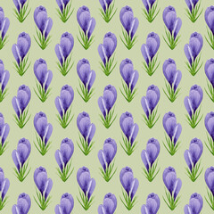 Watercolor spring crocuses seamless pattern, spring flower digital paper on green background. Hand painted floral illustration. For textile design, packaging, wrapping paper, wallpaper, scrapbooking.