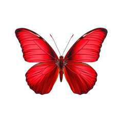Red butterfly isolated on transparent background