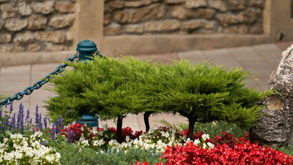 Fragment of flower bed design decorated with stones and miniature shrubbery. Fragment of urban environment.