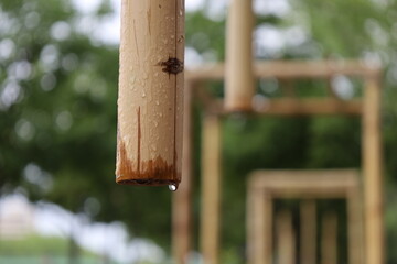 hanging wet bamboo sticks  and water droplets