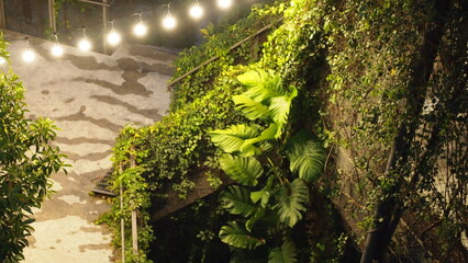 An urban structure with luscious jungle plants