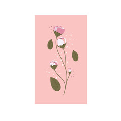 Spring flowers. Beautiful romantic flower with  leaves, floral bouquets. White background pink frame. Flower compositions