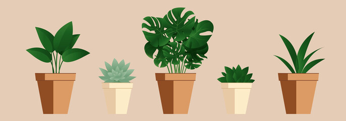 Flowers In Pot Isolated Pastel Background