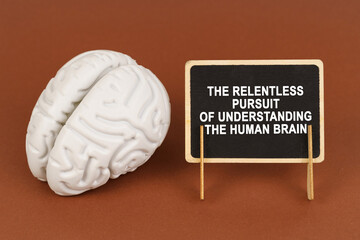 The relentless pursuit of understanding the human brain