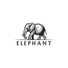 vintage tattoo style Black and white elephant logo. elephant silhouette 