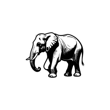 vintage tattoo style Black and white elephant logo. elephant silhouette 