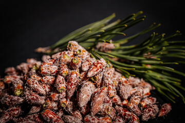 Pine buds healthy diet. A pile of pine buds