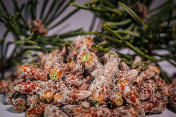 Pine buds healthy diet. A pile of pine buds