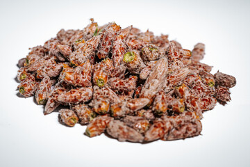 Pine buds healthy diet. A pile of pine buds