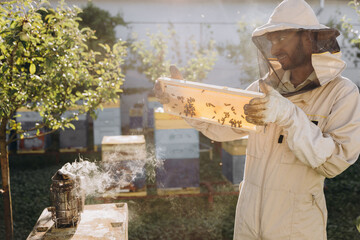 Bee keeper in a uniform standing in apiary and holding a honeybee frame