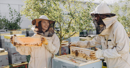 Two beekeepers works with honeycomb full of bees, in protective uniform working on apiary farm,...
