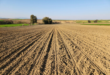 Tractor tire traces on a pillowed crop field to plant sunflower seeds in spring