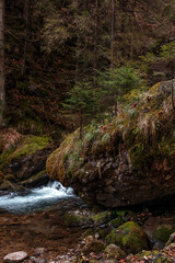 Naklejka na ściany i meble Cute stream in a dark dense forest with small waterfalls among stones