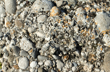 Texture of a conglomerate, a clastic sedimentary rock that is composed of a substantial fraction of rounded to subangular gravel-size clasts.