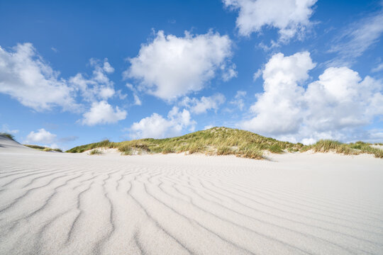 Dune beach at the North Sea coast, Amrum, North Frisian Islands, Schleswig-Holstein, Germany