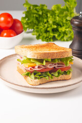 Close-up of two sandwiches with bacon, salami, prosciutto and fresh vegetables on rustic wooden cutting board. Club sandwich concept