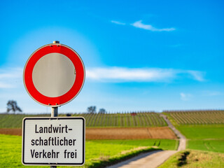Weinberge im Frühjahr
