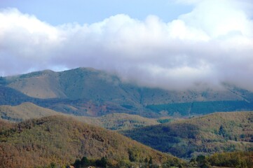 Fototapeta na wymiar hill landscape in morning mist