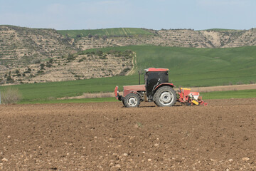 Obraz premium Tractor plowing fields to plant sunflowers