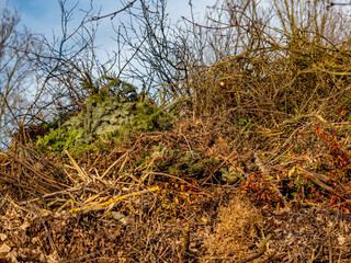 Obraz premium Deponie für Gartenabfälle und Recycling