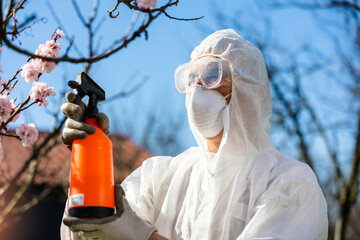 Spraying Fruit Tree with Organic Pesticide or Insecticide in Spring. Spraying Trees against Fungus...