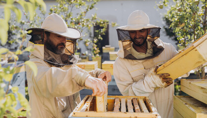 Two happy smiling beekeepers works with honeycomb full of bees, in protective uniform working on...