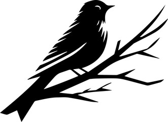 silhouette of a bird