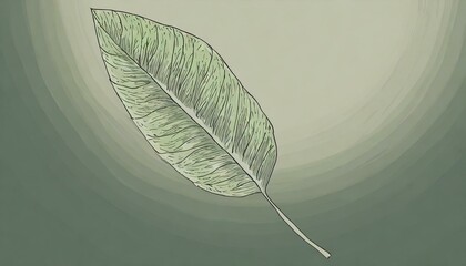 Drawing of a leaf on a simple background