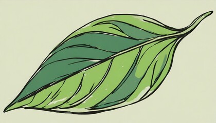 Drawing of a leaf on a simple background