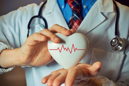 Hands of doctor man holding white heart with the heart beat line, showing symbol of love, human support to patient, promoting medical insurance, early checkup for healthcare, cardiologist help.