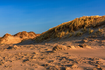 Sand dunes on the North Sea in Germany.