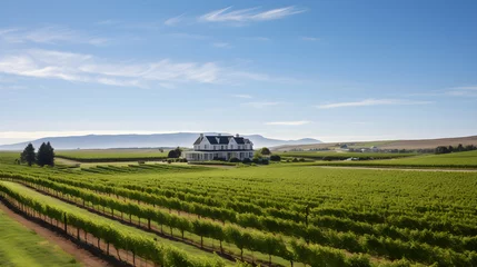 Fotobehang Breathtaking Panorama: BV Coastal Estates Winery Surrounded by Verdant Vineyards © Emily