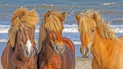 a group of three horses standing next to each other on top of a sandy beach with the ocean in the background.