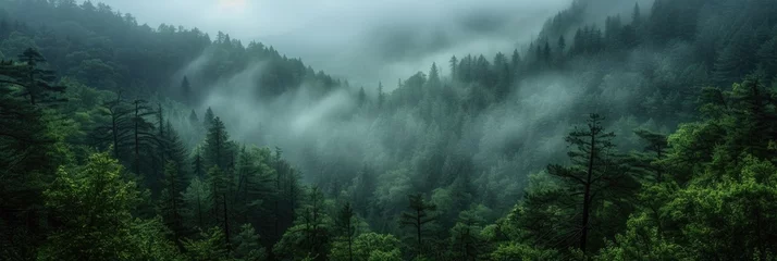 Fotobehang A mystical forest shrouded in mist. © Landscape Planet