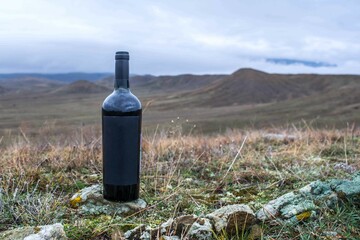 Bottle of wine in the mountains - 750930726