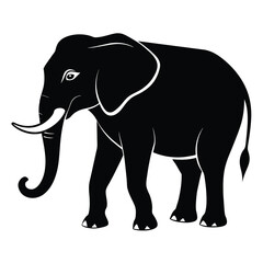 An elephant vector illustration
