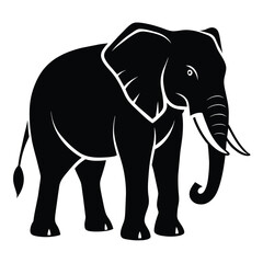 An elephant vector illustration