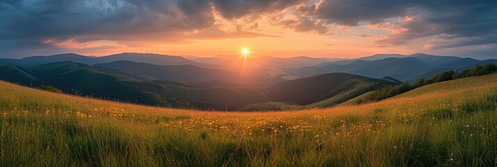 Sunset Over Flowering Mountain Meadow