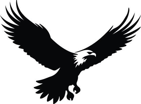 eagle  silhouette