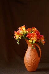 The delicacy, elegance and vibrant colors of the freesia flowers highlighted by a black background