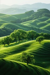 Lush Green Hills and Trees in Rural Countryside