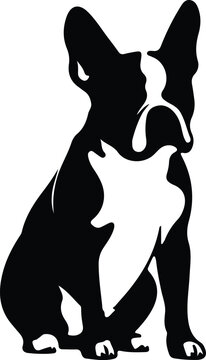 Boston Terrier   silhouette