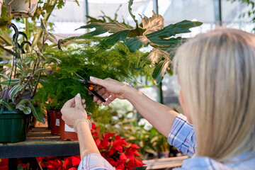 unrecognizable woman plant shop or nursery worker pruning plants with a pair of scissors