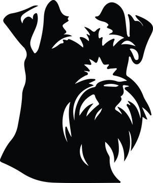 Miniature Schnauzer   silhouette