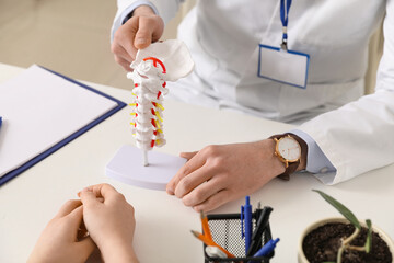 Male doctor explaining spinal anatomy with vertebral column model to patient in clinic, closeup