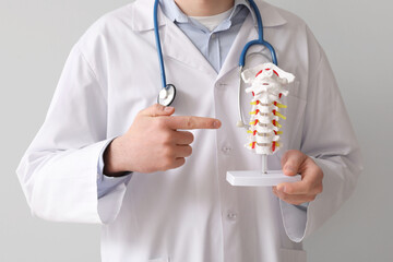 Male doctor pointing at spine model on grey background